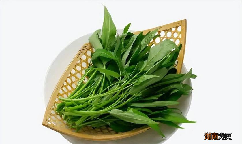 空心菜是凉性还是热性的蔬菜食物