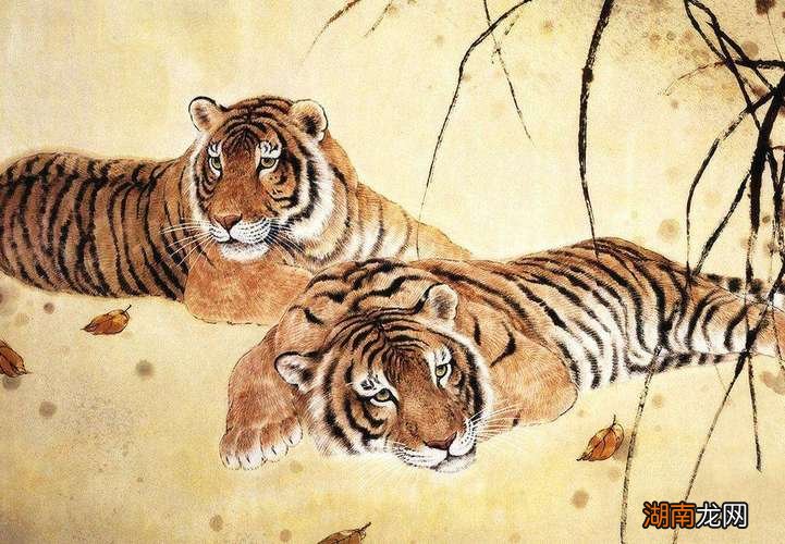 86年属虎男真正爱的女人是谁属什么的