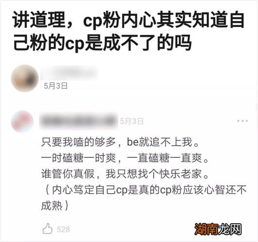 网上说的磕到了是什么意思