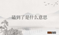 网上说的磕到了是什么意思