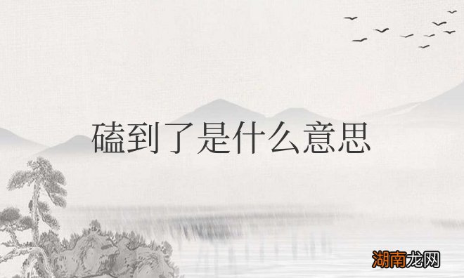 网上说的磕到了是什么意思