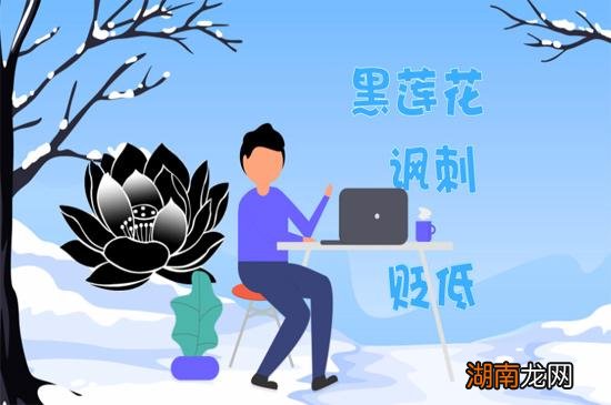 网络流行语黑莲花是什么意思
