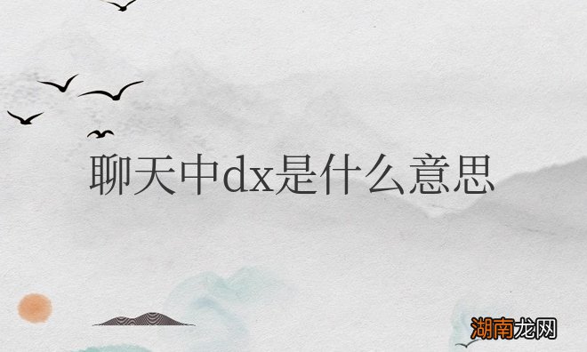 网络聊天中dx是什么意思