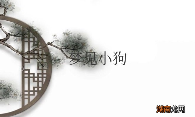 梦见小狗是什么征兆