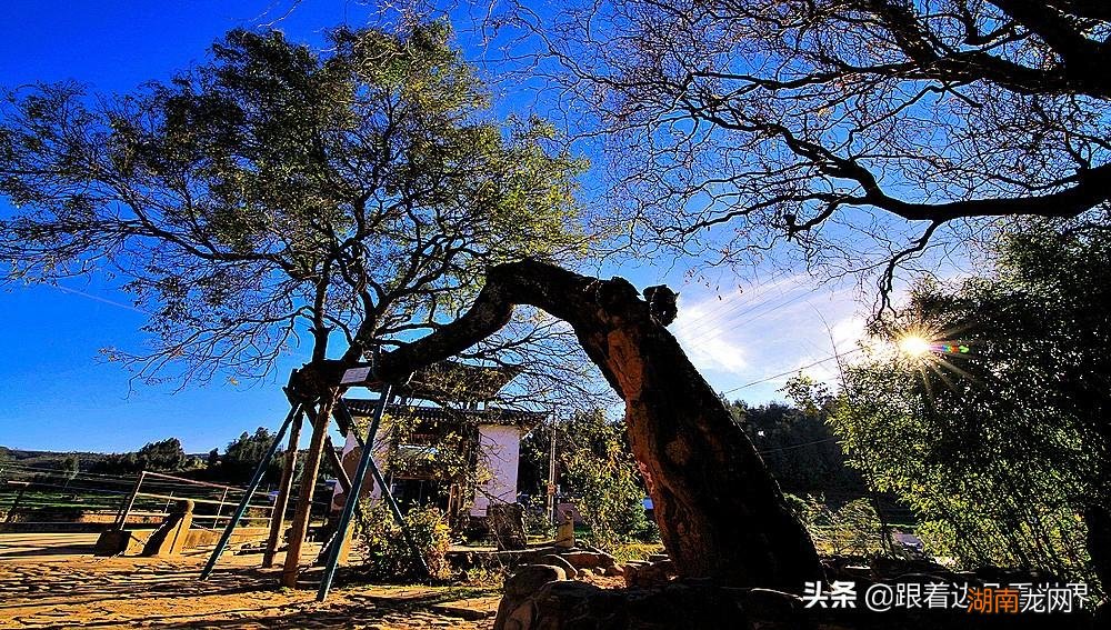 小河淌水的作者是哪里人 小河淌水是云南哪个地方的民歌