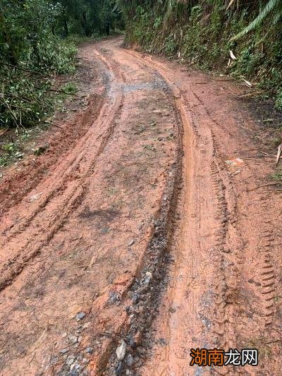 女人梦见泥巴路不好走解梦