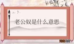 老公奴是什么意思