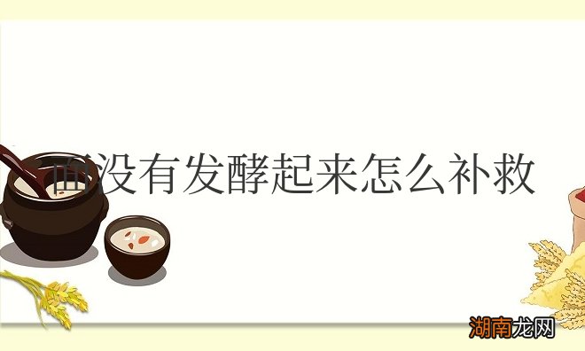 面没有发酵起来怎么补救