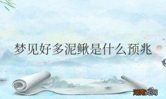 女性梦见好多泥鳅是什么预兆解梦