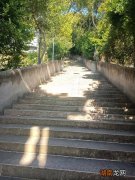 女人梦见下坡路很陡但能控制周公解梦