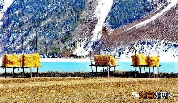 西天瑶池然乌湖旅游景点攻略介绍 然乌湖海拔多少米高