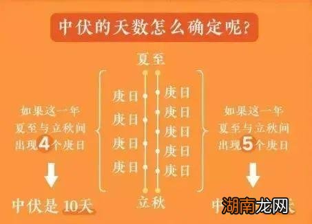 三伏天确定下来后为何天数不确定 伏天一共有多少天