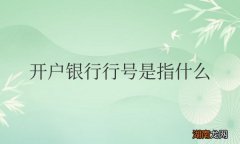 开户银行行号是指什么查询