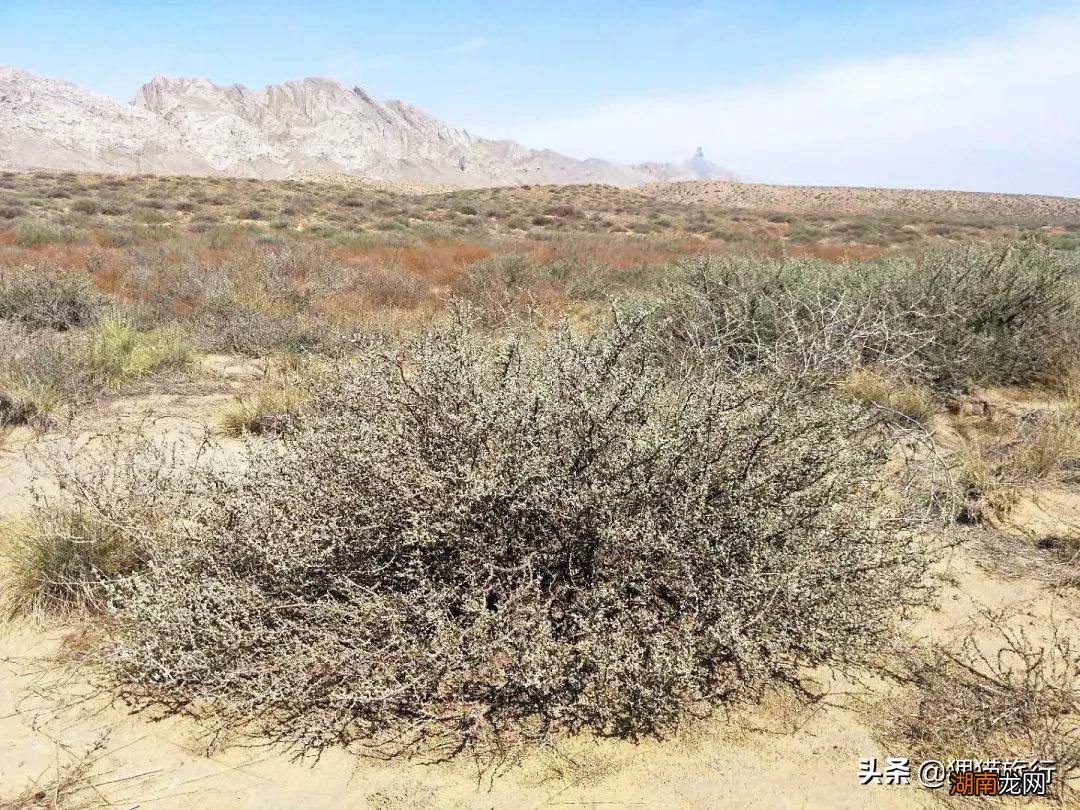 聊一聊被历史遗忘的内蒙古城市乌海 乌海是哪个省的城市