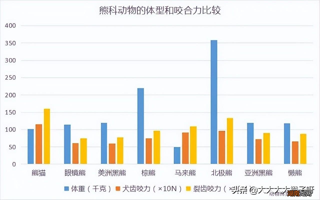 远古大熊猫真的是战神蚩尤的坐骑吗 大熊猫的传说故事