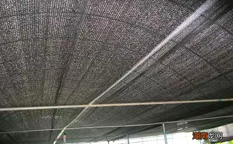 500块钱就能搞定的屋顶隔热方法 顶楼热有什么办法解决