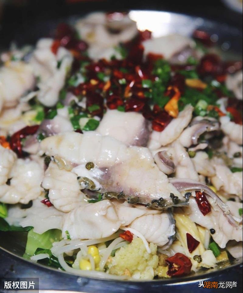 盘点4种味道好吃且刺还少的鱼 没刺的鱼都有哪些