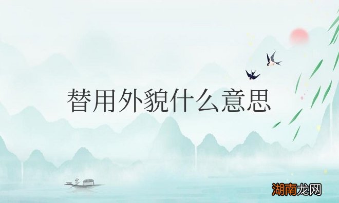 苹果手机设置替用外貌什么意思