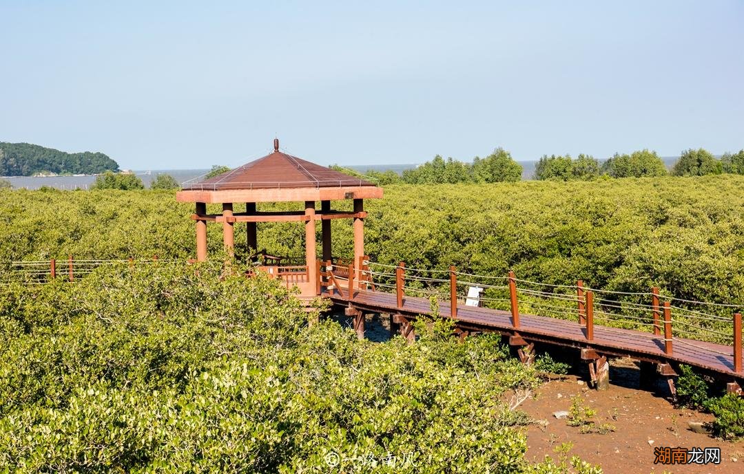 阳江海陵岛是中国十大最美海岛之一 海陵岛在哪个地方
