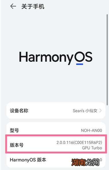 鸿蒙系统开发者选项怎么打开