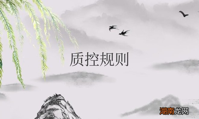 质控规则r4s的定义 质控规则包括哪些内容