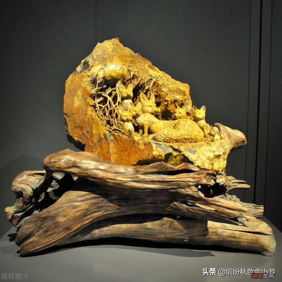 来福建旅游不得不知道的地方特产 福建的十大特产介绍