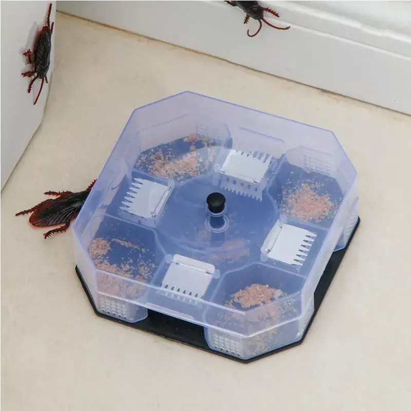 如何科学地根除德国小蟑螂 德国小蟑螂怎么消灭最彻底