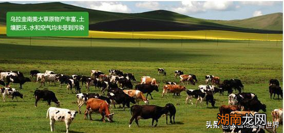 聊一聊乌拉圭的悲惨历史 乌拉圭是哪个洲的国家