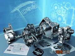 大众dsg是湿式还是干式的