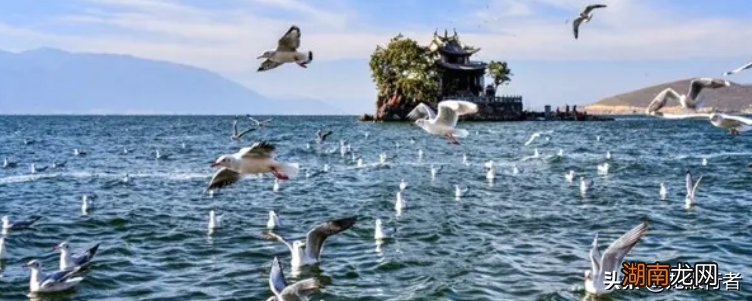 风花雪月是大理的四种景观 风花雪月指的是哪四个地方