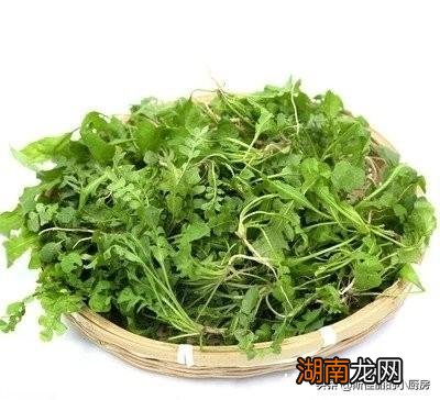 春分记得吃4样做3事忌2事 春分节气的特点和风俗禁忌