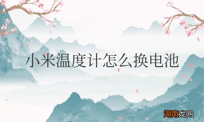 用什么型号电池 小米温度计怎么换电池