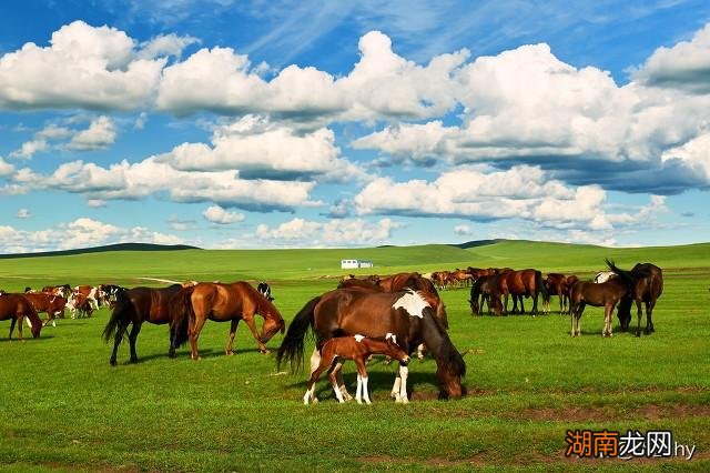 中国值得去的环境优美的旅游景点 一生必去的十大景点