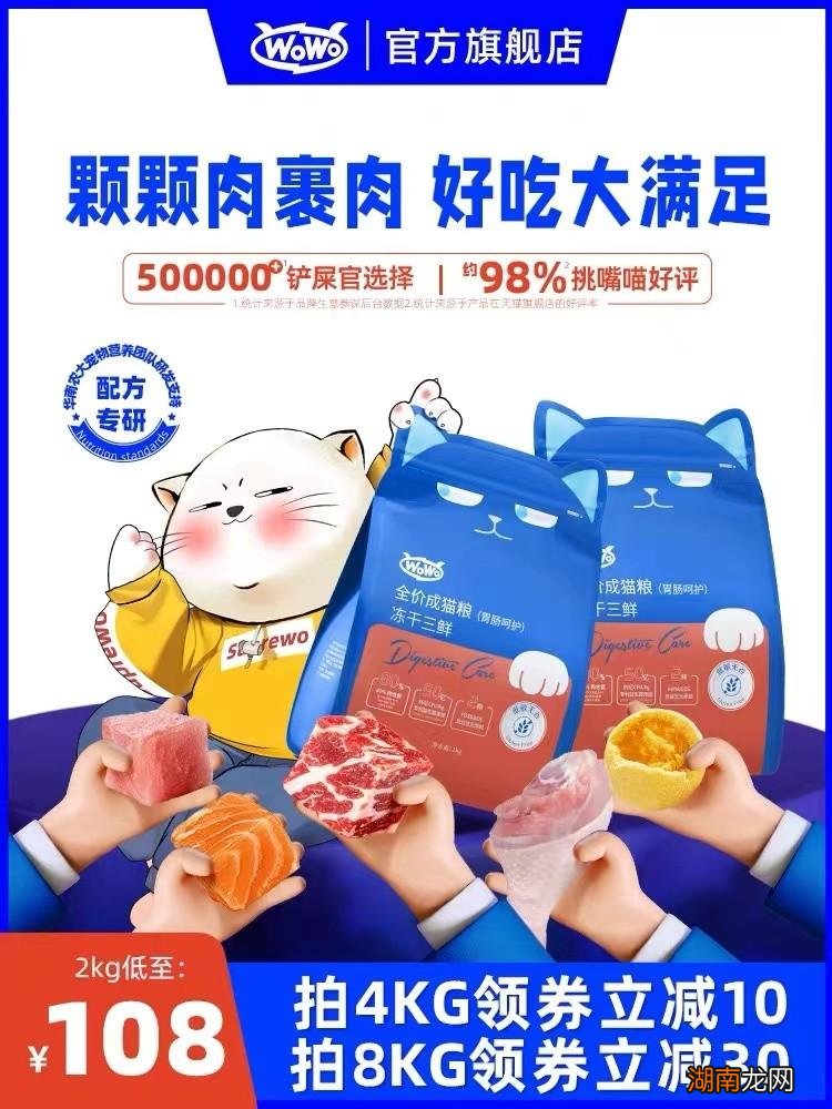 推荐十款国产口碑好性价比高猫粮 国产猫粮排行榜前十名