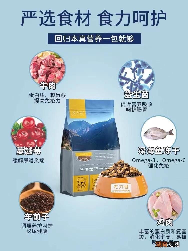 推荐十款国产口碑好性价比高猫粮 国产猫粮排行榜前十名