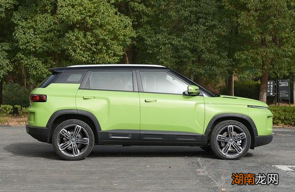 车辆定损费用由谁承担