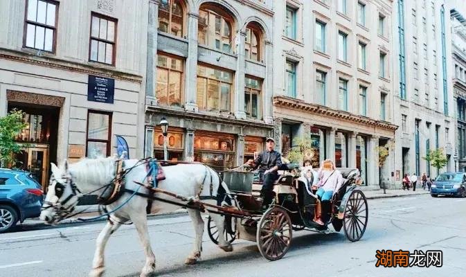 加拿大最发达的城市排名 加拿大城市排名前三名