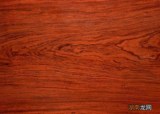 全球十大名贵木材排行 世界上最贵的木材排名价格表