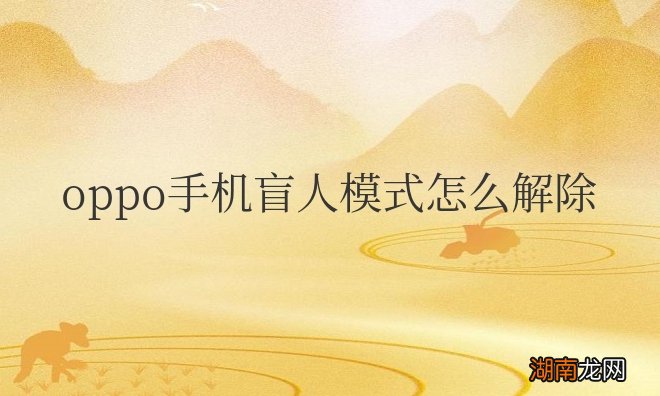 oppo手机盲人模式怎么解除