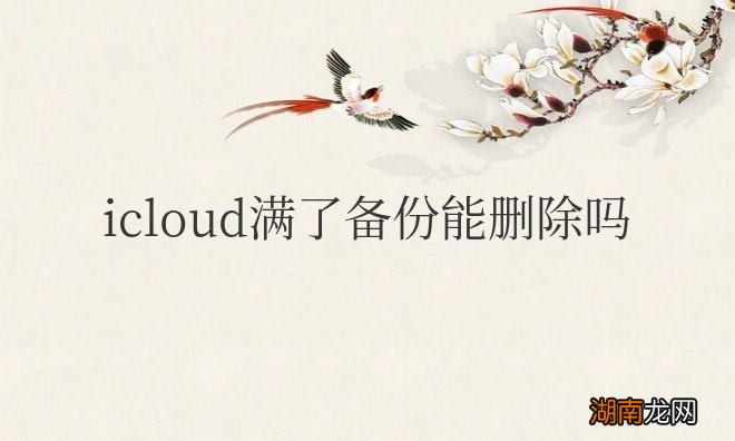 苹果icloud满了备份能删除吗