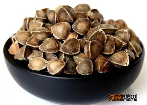 辣木籽有6种味道 辣木籽吃了苦是为什么