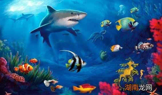 地球上共有多少水能适合人类使用 世界上有多少水