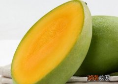 海南的水果有哪些特产水果图片及名称