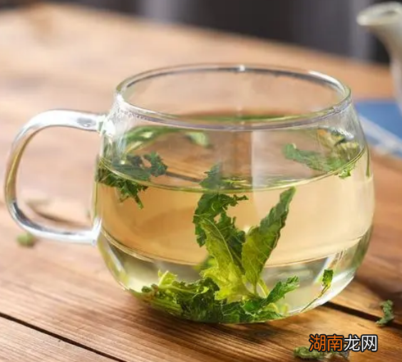 刚摘的薄荷叶能泡水喝吗?有毒吗?