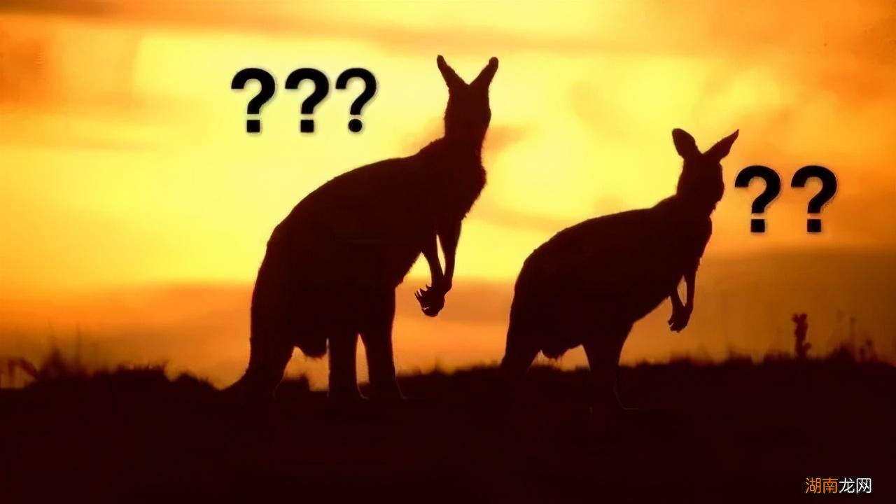 为什么把澳大利亚叫做土澳有何含义 土澳什么意思