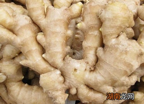 生姜发青了发芽了可以吃吗有毒吗