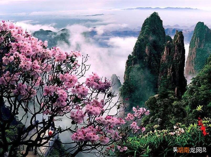 芙蓉国里尽朝晖出自哪里 芙蓉国里尽朝晖全诗解析