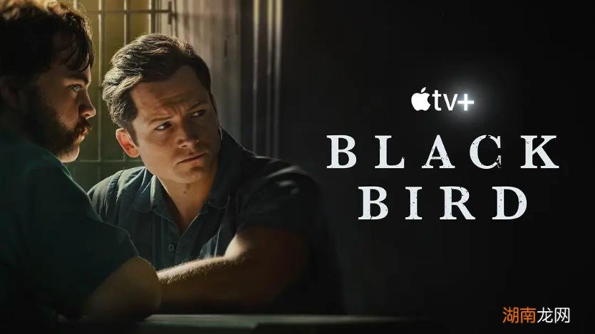 今年值得看的美剧排行榜 最新美剧排行榜2022