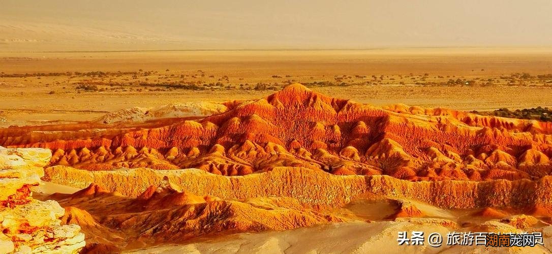 南美富国智利是什么样的国家 智利是属于哪个国家