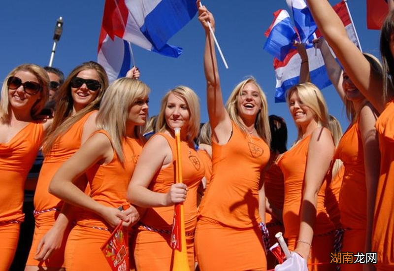 北欧荷兰是一个什么样的国家 关于荷兰的资料简介